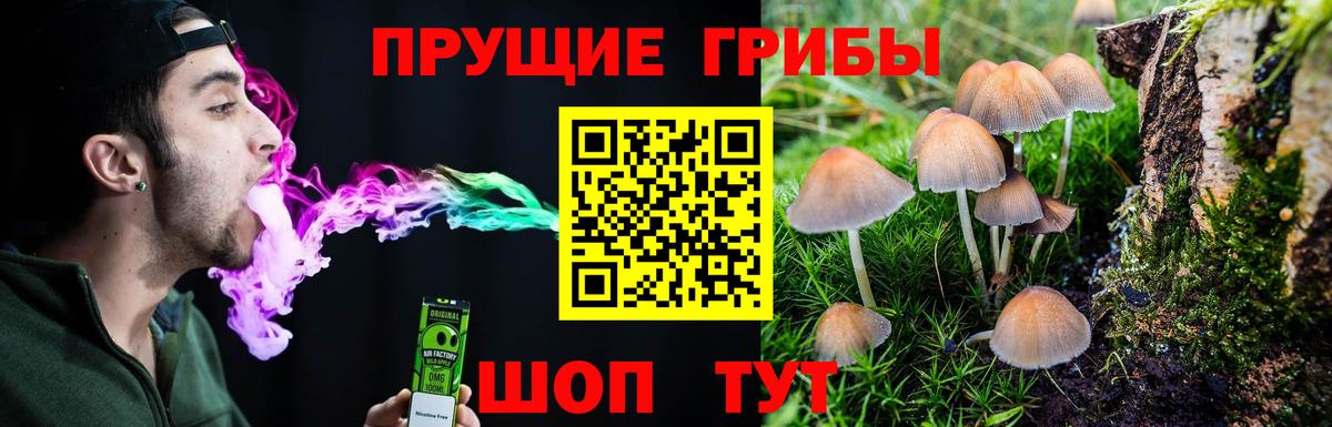 Псилоцибиновые грибы Psilocybine cubensis  Вход с VPN  Выкса 