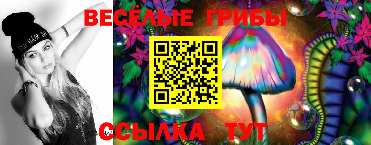 Галлюциногенные грибы MAGIC MUSHROOMS Выкса